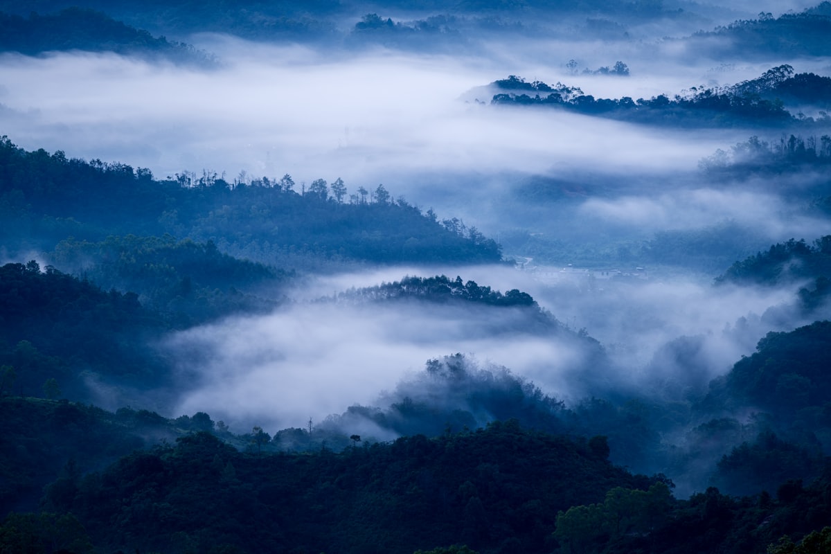 Mist moving through forested hills at first light