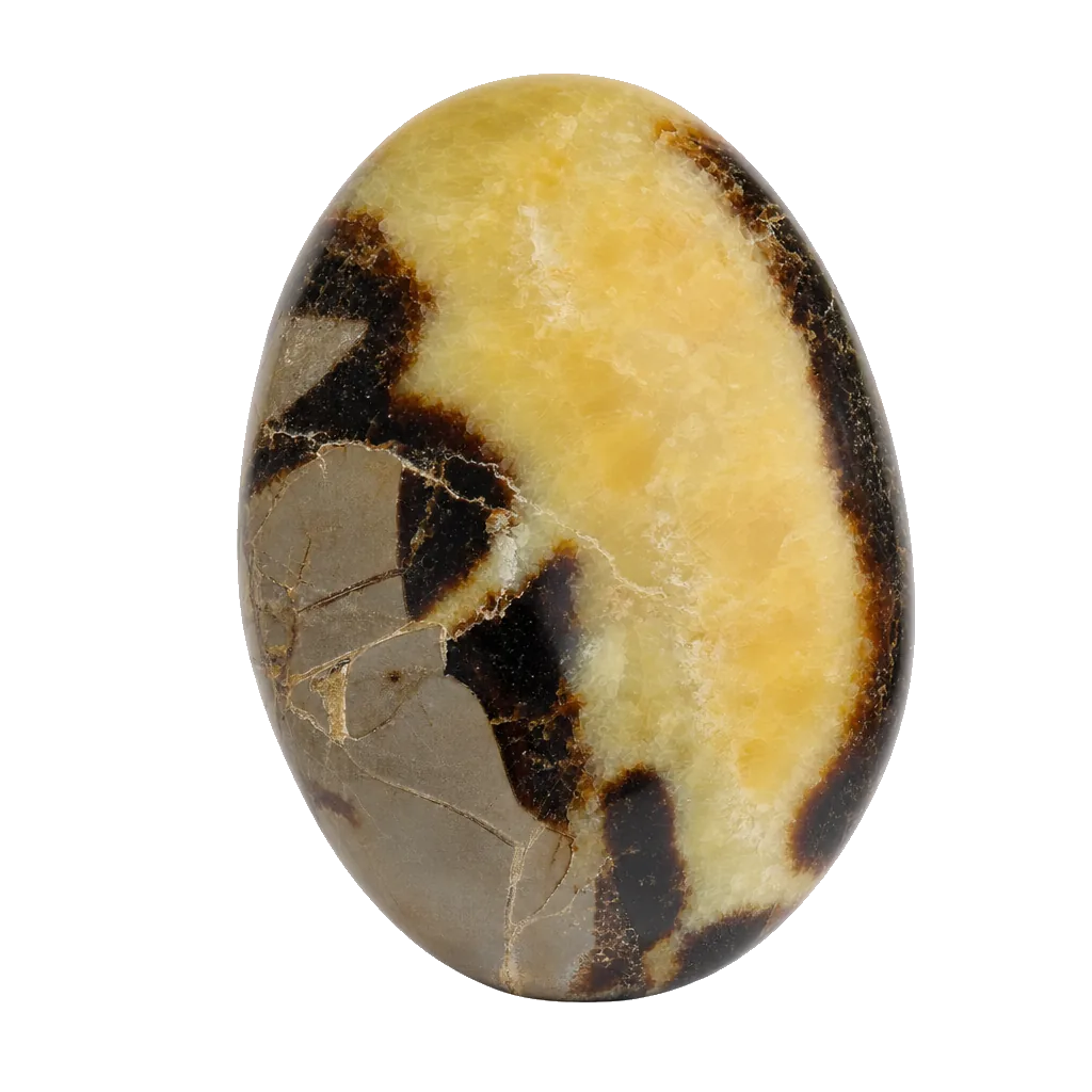 Septarian, a hand-selected example